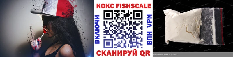 Купить закладки  Сусуман  Cocaine Fish Scale 