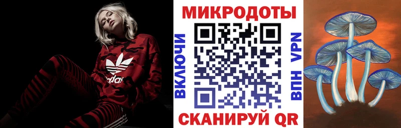 Купить  Сусуман  Галлюциногенные грибы GOLDEN TEACHER 
